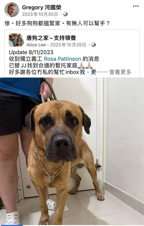 河離|河國榮逝世丨為醫骨癌愛犬欠80萬債務 與太太去超市。